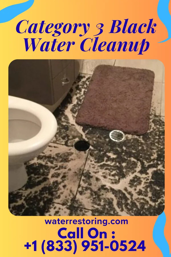 Category 3 Black Water Cleanup in Spotsylvania Courthouse, VA
