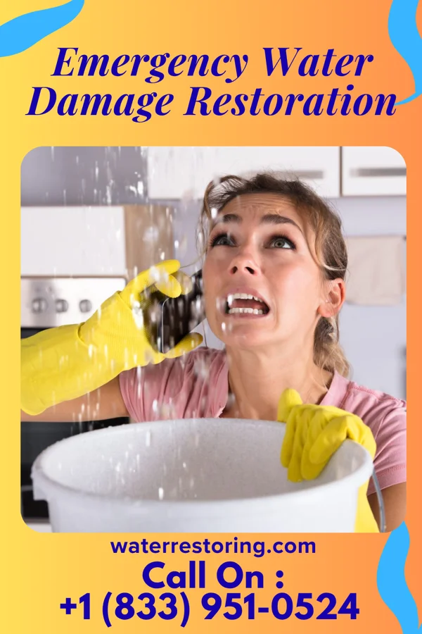 Emergency Water Damage Restoration in Spotsylvania Courthouse, VA