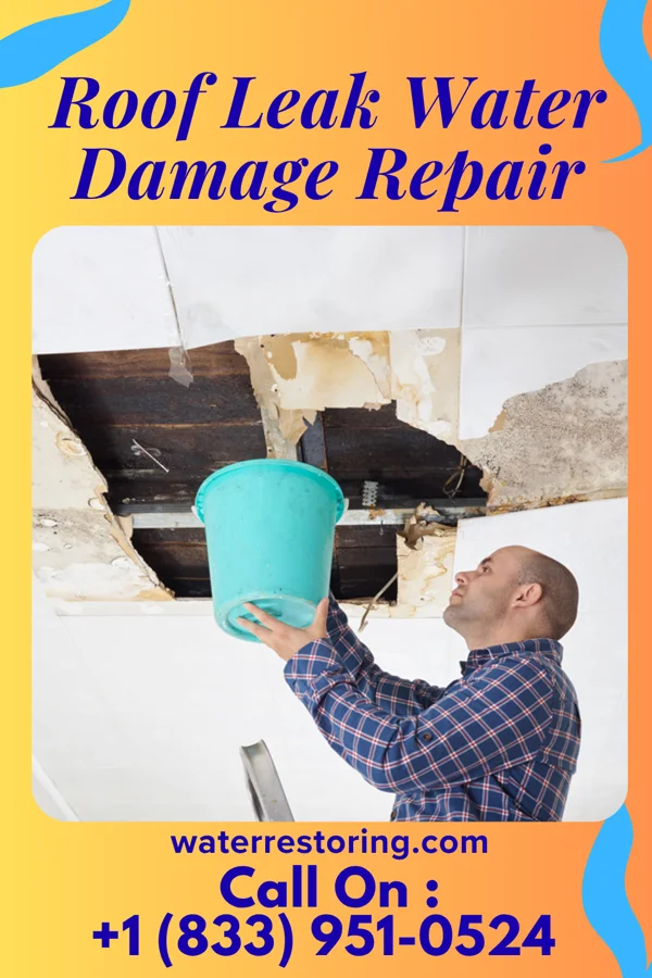 Roof Leak Water Damage Repair in Spotsylvania Courthouse, VA