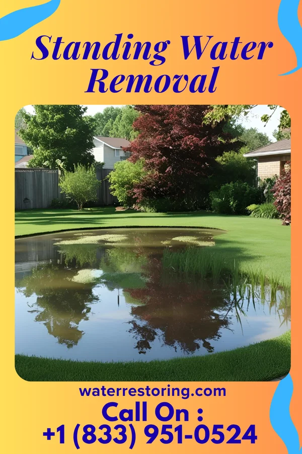 Standing Water Removal in Spotsylvania Courthouse, VA